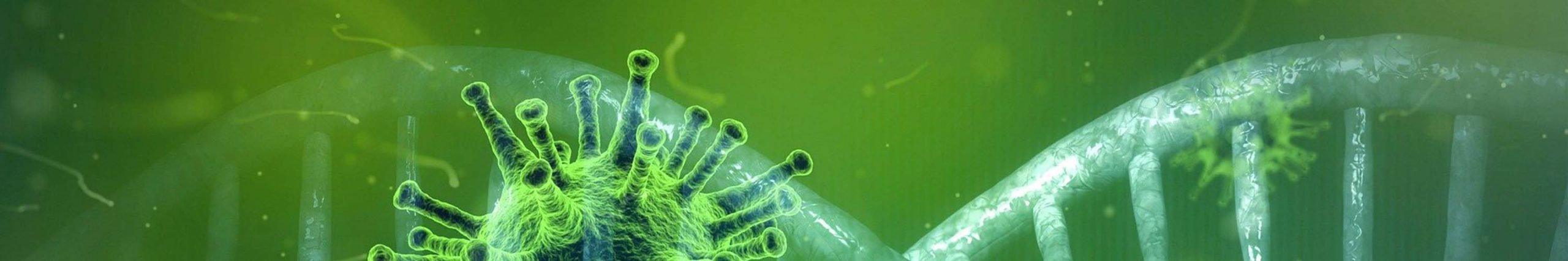Landmark Technologies #ThePeopleBehindYourIT Coronavirus scaled